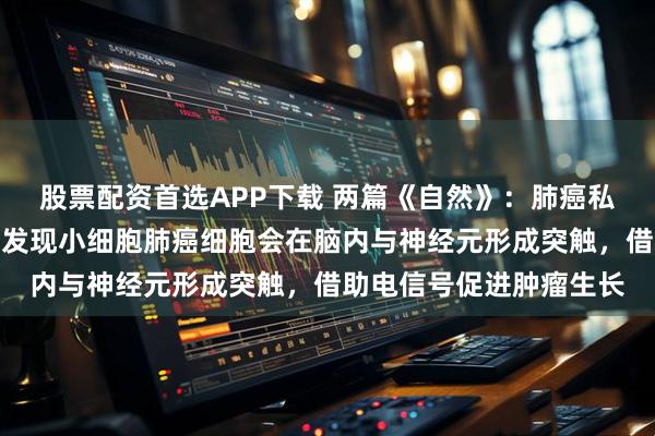 股票配资首选APP下载 两篇《自然》：肺癌私联神经元！科学家首次发现小细胞肺癌细胞会在脑内与神经元形成突触，借助电信号促进肿瘤生长